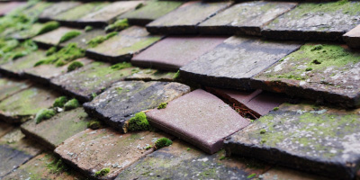 Harrowden roof repair costs